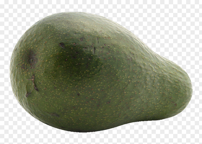 Avocado Melon PNG