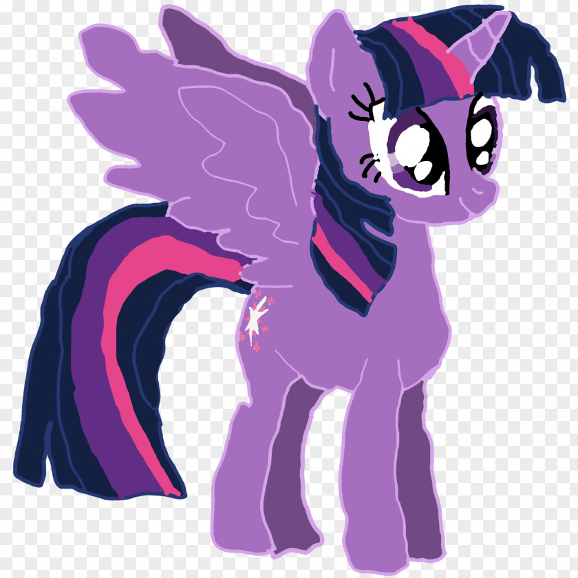 Cat My Little Pony: Friendship Is Magic Fandom Twilight Sparkle PNG
