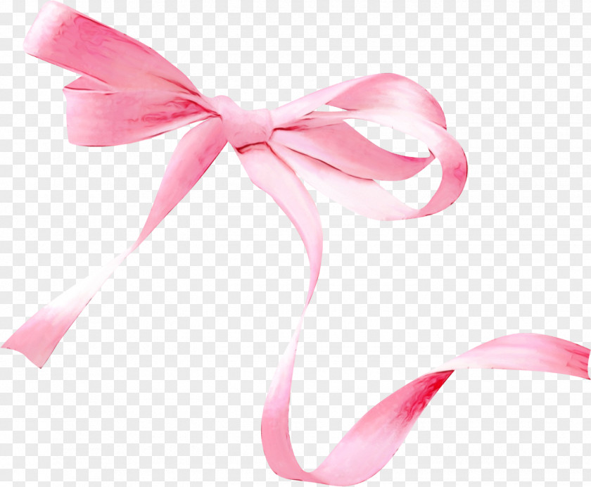 Fashion Accessory Petal Pink Ribbon Plant PNG