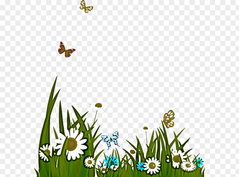 Flower Grasses Plant Stem Honey Bee Leaf PNG