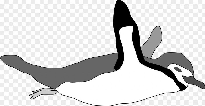 Swimming Emperor Penguin Bird Clip Art PNG
