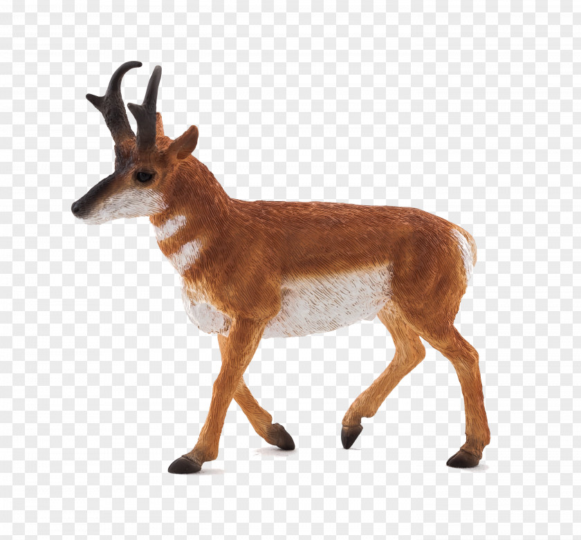 Antelope Pronghorn Impala Stuffed Animals & Cuddly Toys PNG