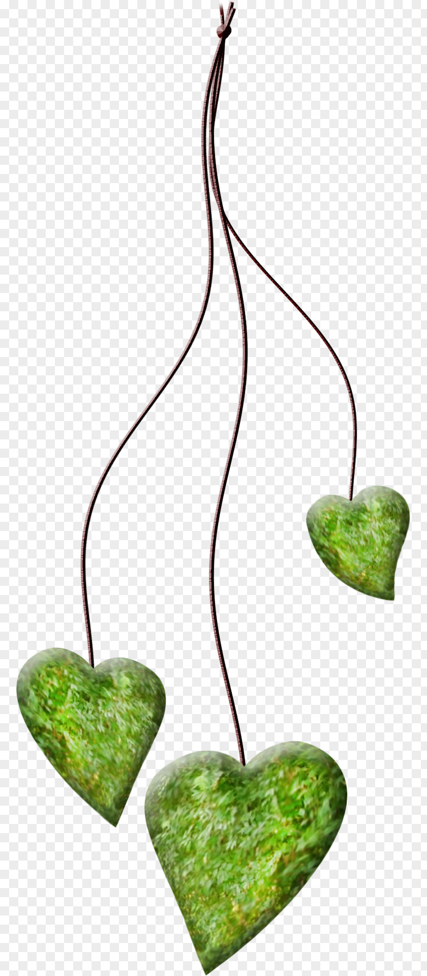 Free GreenRope Peach Heart Rope PNG