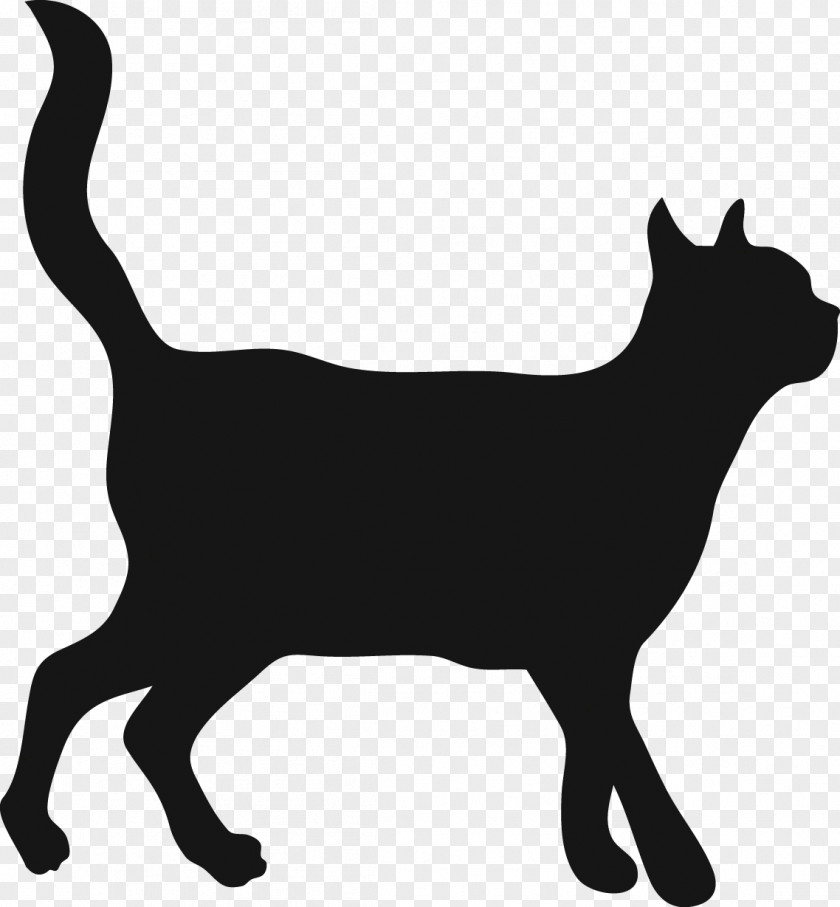 Kitten Pet Dachshund Trap–neuter–return Abyssinian Cat PNG