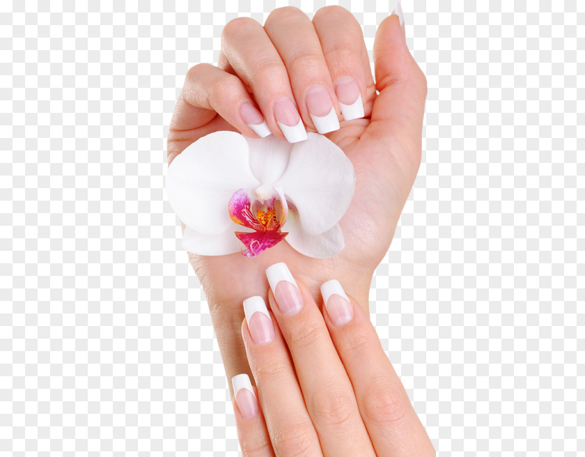 Nail Artificial Nails Art Salon Manicure PNG