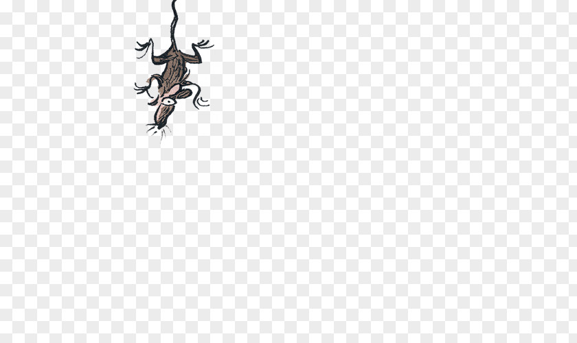 Rat & Mouse Insect Pollinator Invertebrate Tree Animal PNG