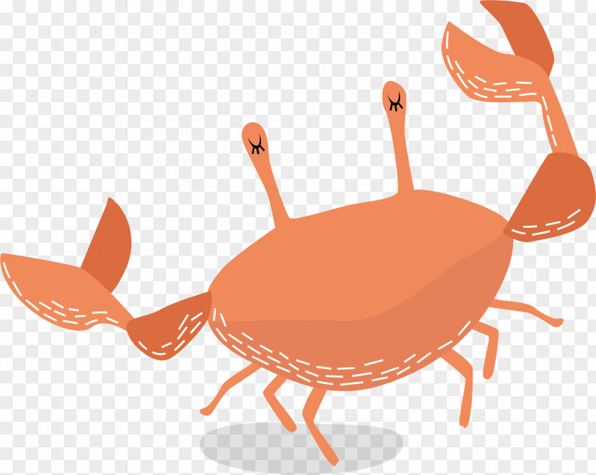 Red Crab Vector Dungeness Illustration PNG