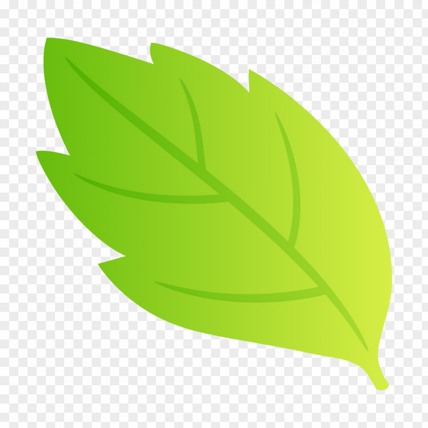 Flower Logo Leaf Green Plant Tree Clip Art PNG