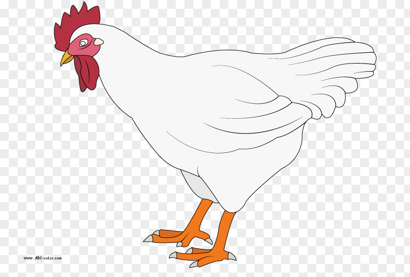 Fried Chicken Rooster Leghorn Drawing Nugget Clip Art PNG