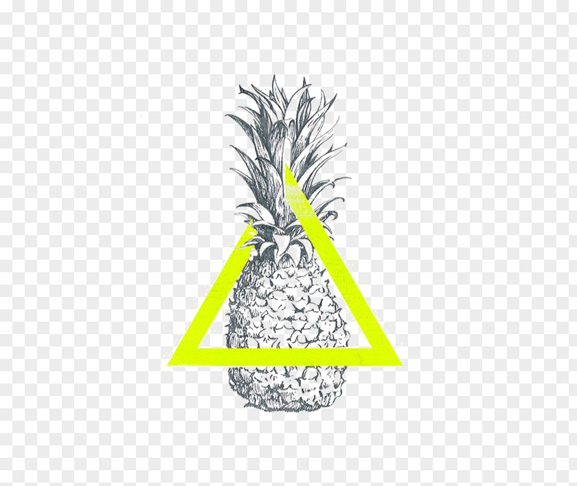 Hand-painted Pineapple Cutter Upside-down Cake Drawing PNG