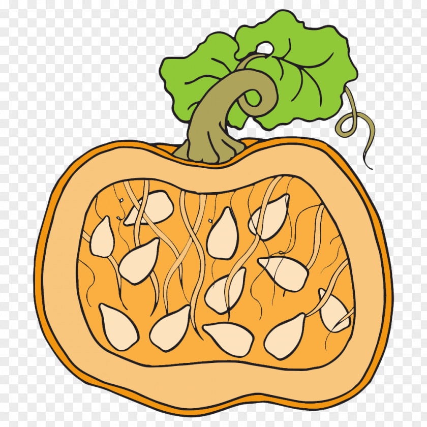 Pumpkin Clip Art Seed Openclipart Pie PNG