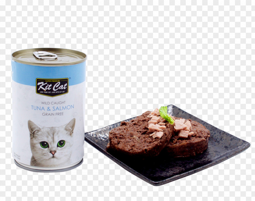 Wild Cats Cat Food Kitten Recipe PNG