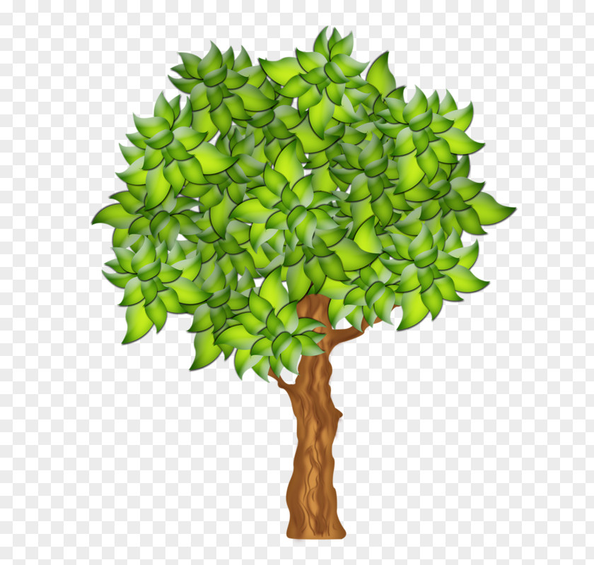 Clip Art Fruit Tree Illustration PNG