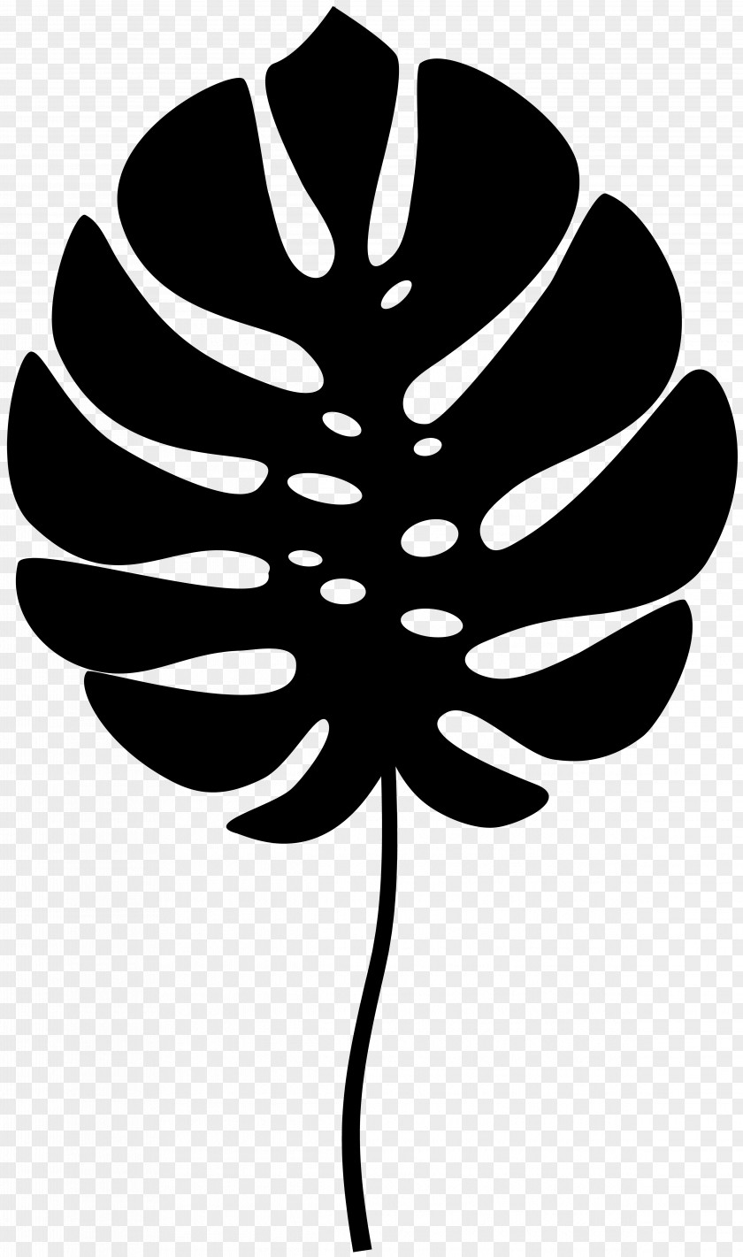 Clip Art Line Leaf Tree Flowering Plant PNG