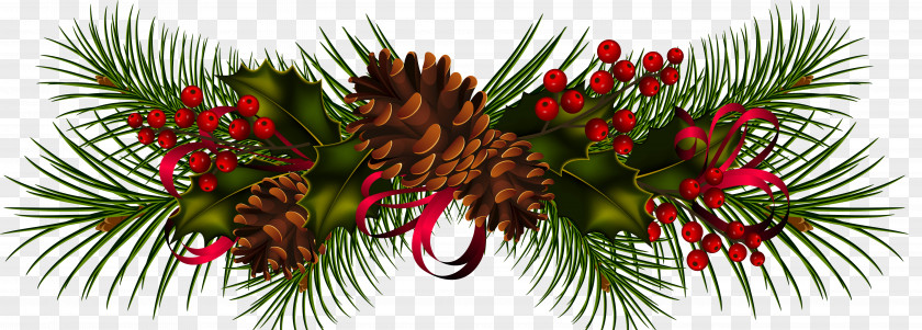 Icicles Conifer Cone Christmas Pine Tree Clip Art PNG