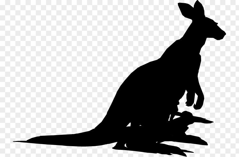 Kangaroo Dog Clip Art Mammal Fauna PNG