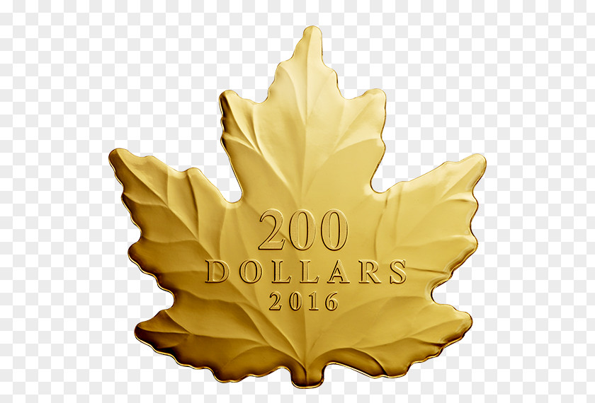 Mint Leaf Canada Canadian Gold Maple Coin PNG