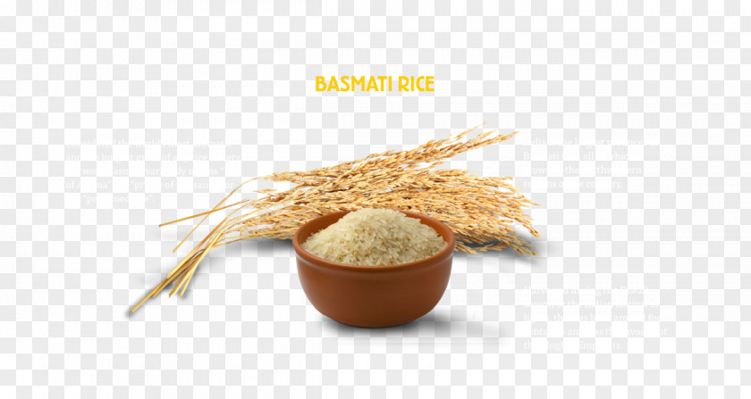 Rice Farming In India Sprouted Wheat Cereal Ingredient Tasty Bite Whole Grain PNG
