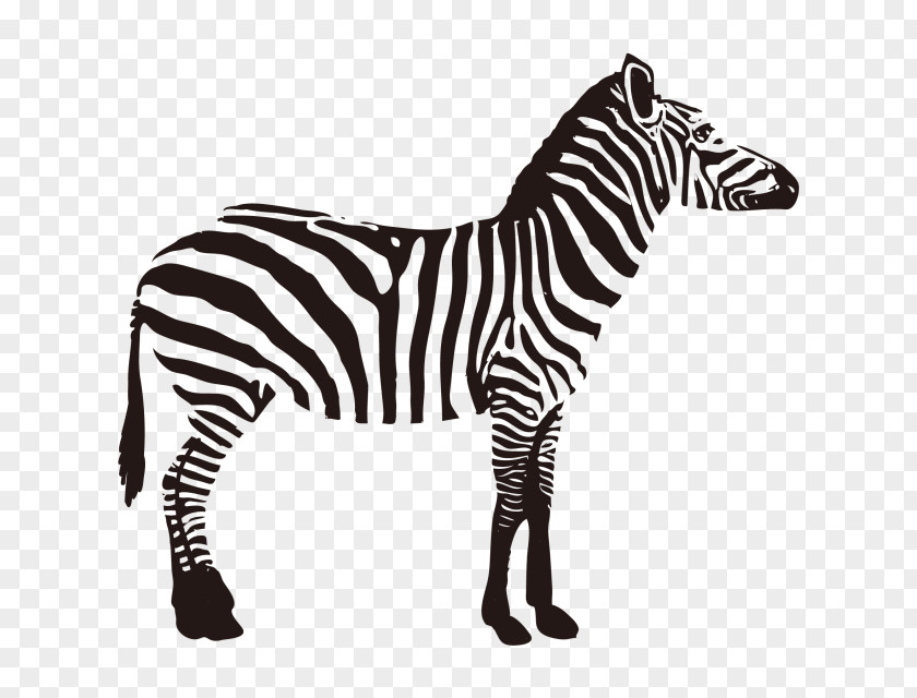Zebra Quagga Fauna Of Africa Animal PNG