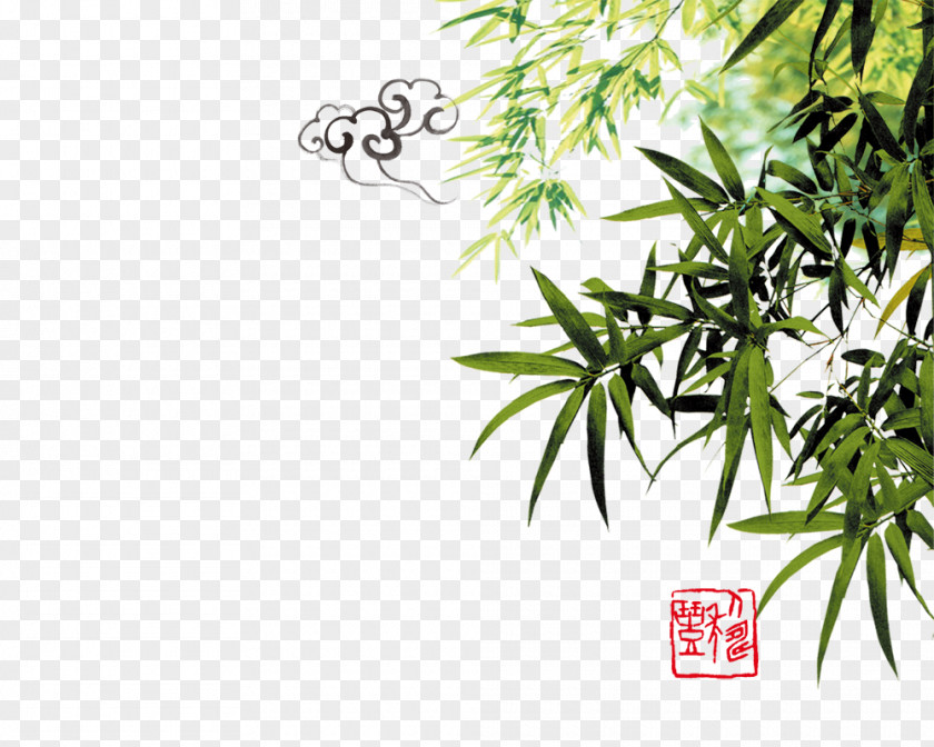 Bamboo Ink Document PNG