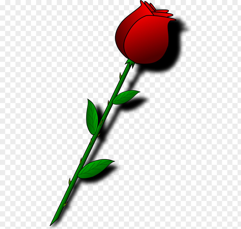 Beautiful Bouquet Of Red Roses Valentines Day Flower Heart Clip Art PNG