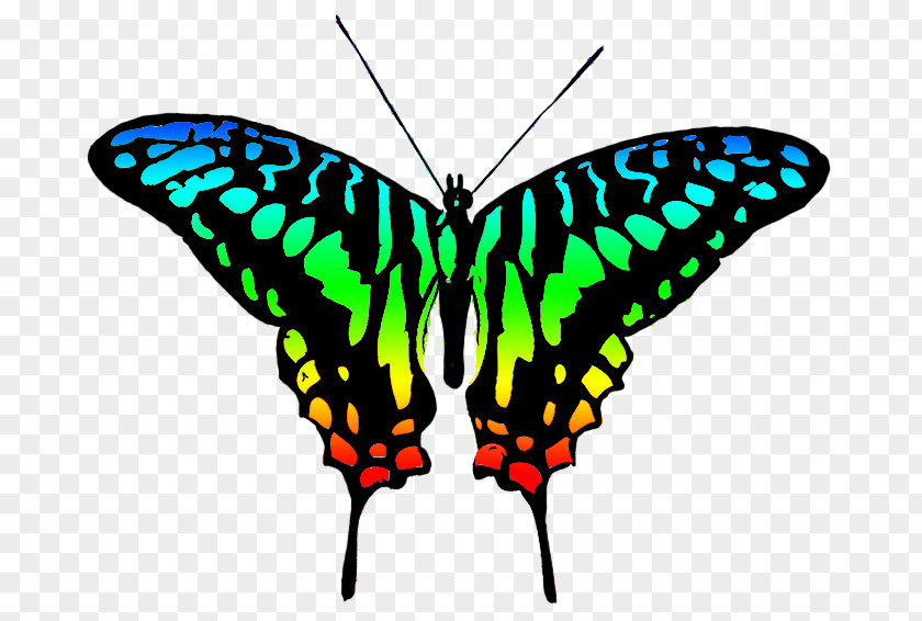 Blue Butterfly Swallowtail Grey Clip Art PNG