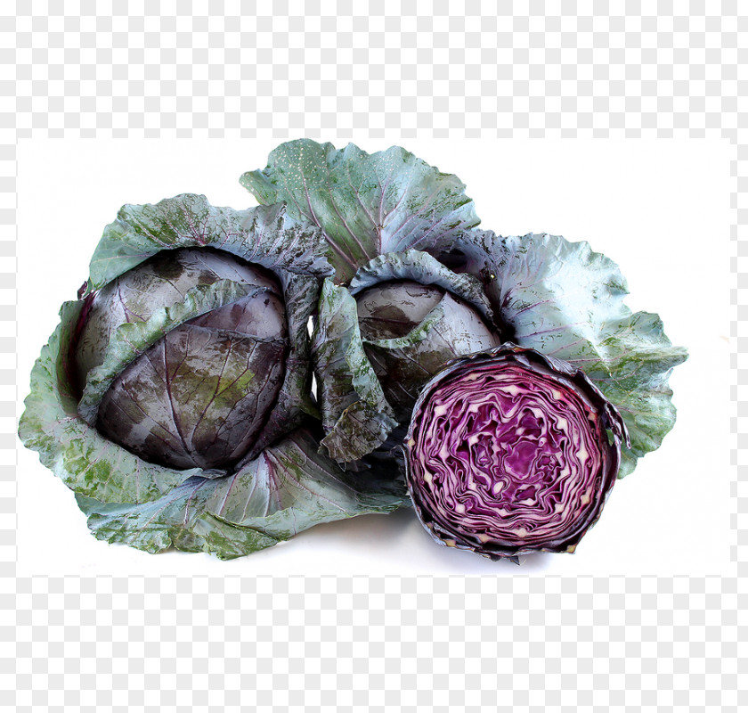 Cabbage Leaf Vegetable Red Organic Food Cauliflower PNG