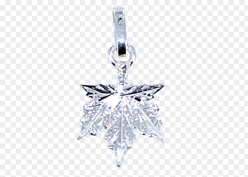 Jewellery Locket Body Tree Diamond PNG