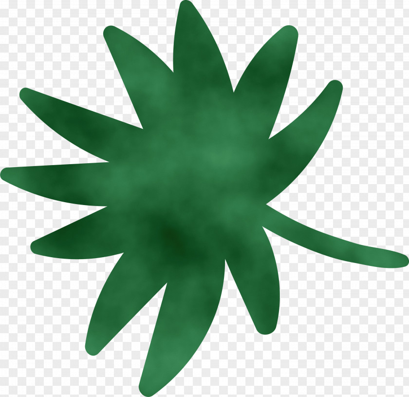 Leaf Green Plant Structure Biology Science PNG