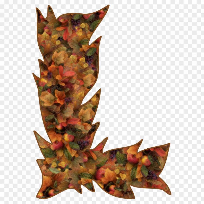 Leaf Maple PNG