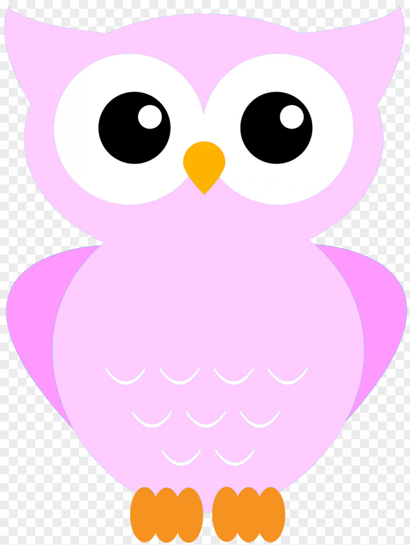 Owl Little Coloring Book Drawing Animal PNG