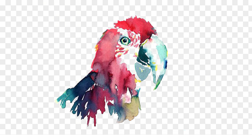 Parrot Bird Macaw Watercolor Painting PNG