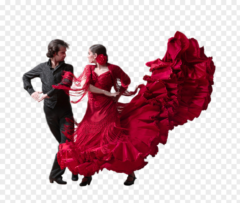 The Art Of Making Dances Flamenco Latin Dance PNG