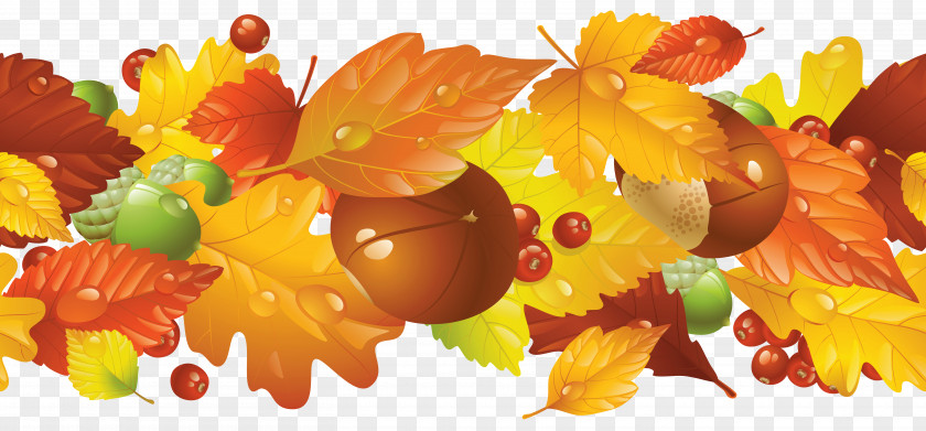 Transparent Fall Border Clipart Picture Autumn Leaf Color Clip Art PNG
