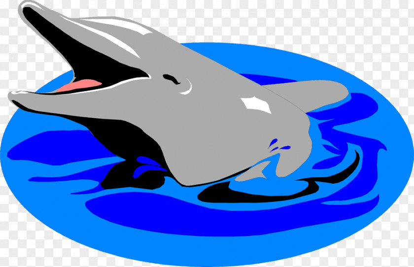 Dolphins Images Free Dolphin Clip Art PNG