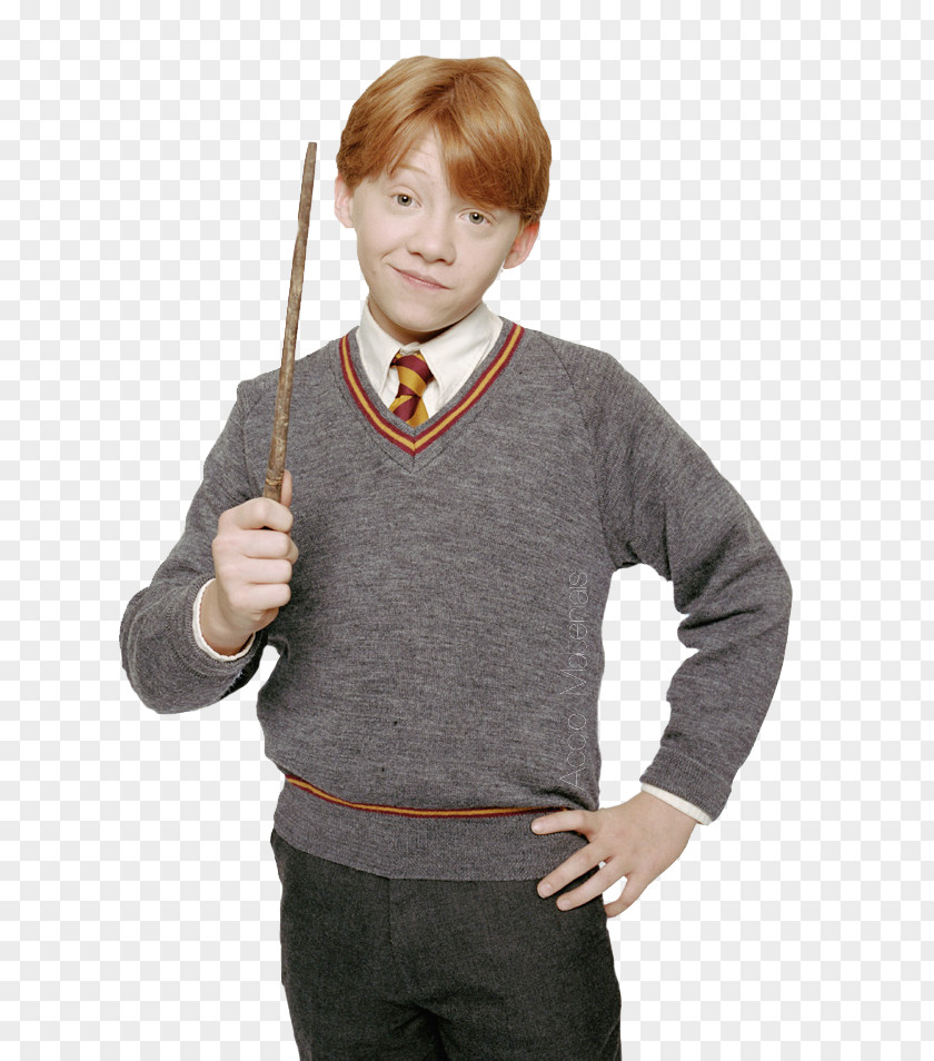 Harry Potter Ron Weasley Professor Severus Snape And The Philosopher's Stone Ginger PNG