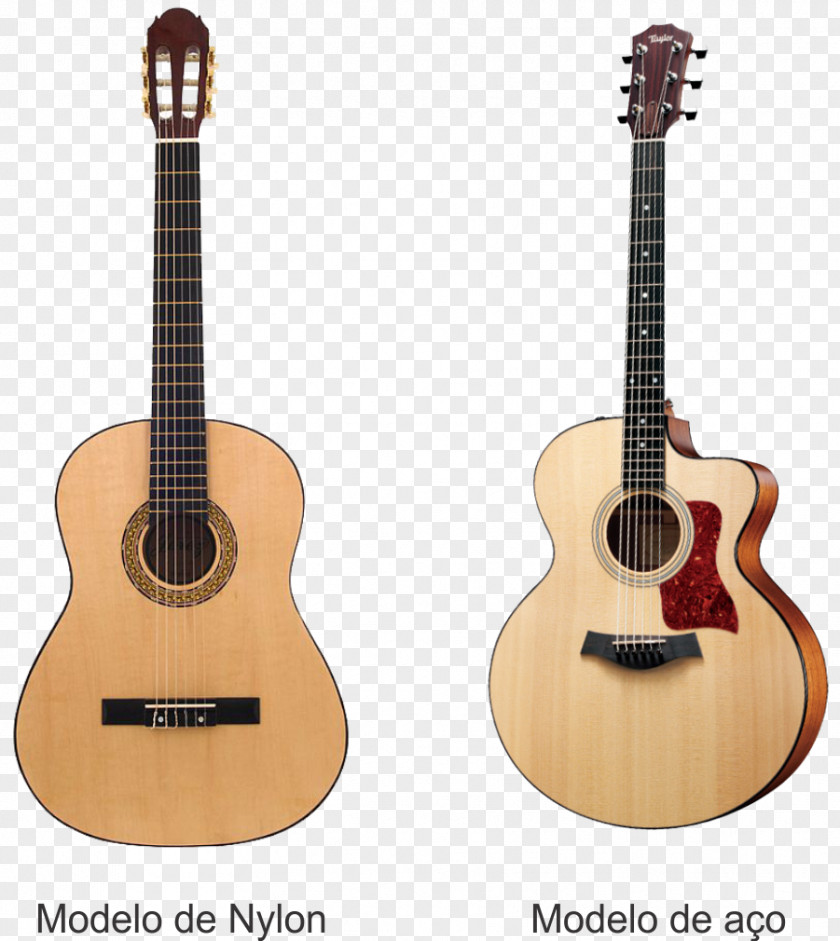 Acoustic Guitar Taylor Guitars Steel-string Acoustic-electric Dreadnought PNG