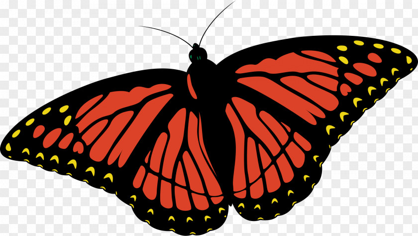 Butterfly Monarch Clip Art PNG