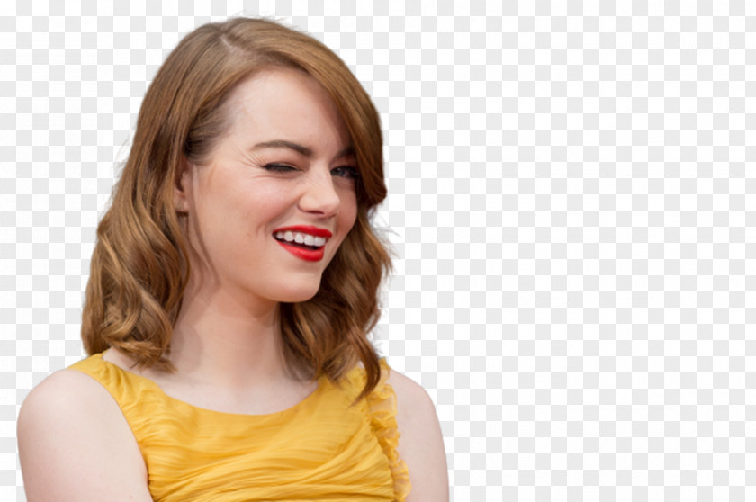 Emma Stone Actor The Favourite Celebrity Academy Award For Best Actress PNG