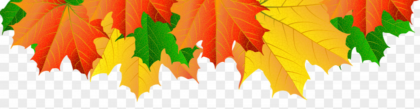 Fall Leaves Border Clip Art Image File Formats Lossless Compression PNG