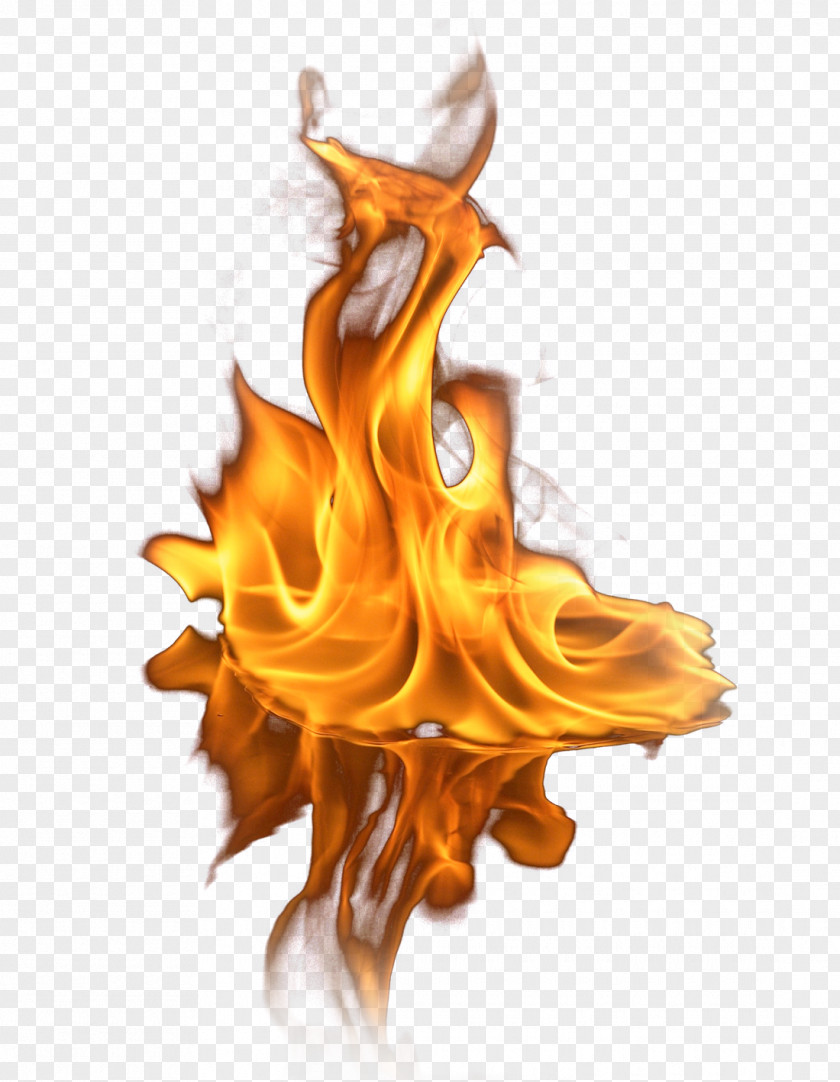 Fire Flame Light PNG