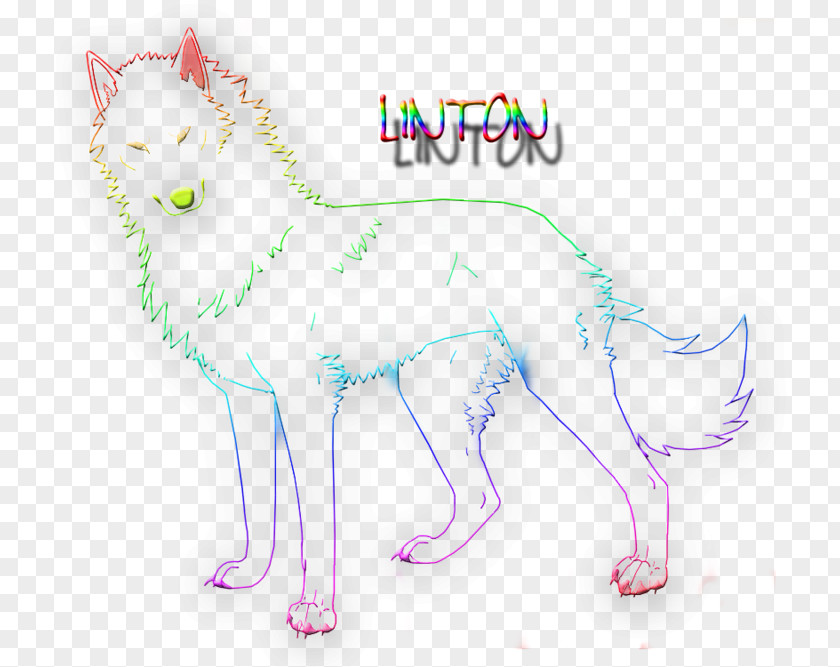 Fire Particle Whiskers Cat Mammal Dog PNG
