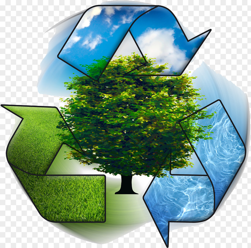 Natural Environment Recycling Symbol Environmental Management System Concept PNG