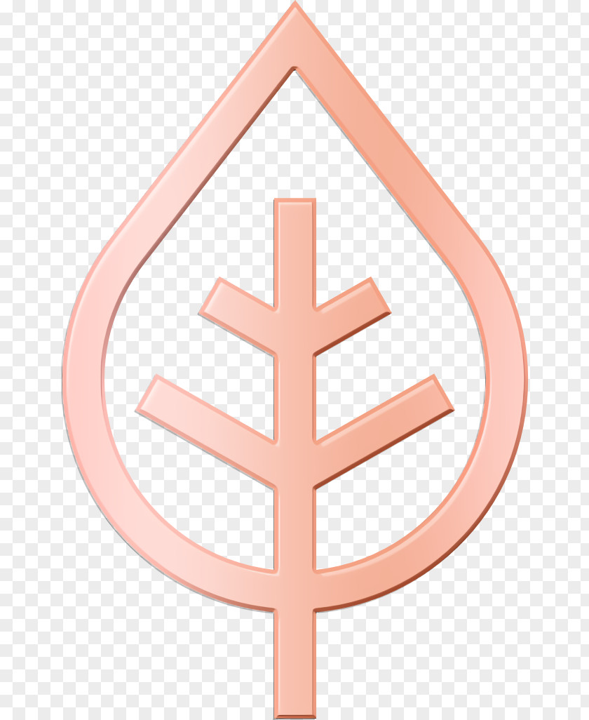Nature Icon Leaf PNG