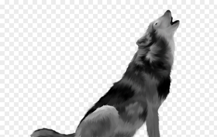 Wolf Dog Desktop Wallpaper PNG