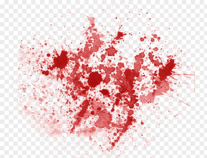 Blood Splatter PNG Splatter, red paint stain clipart PNG