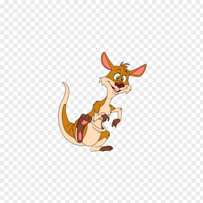 Cartoon Kangaroo Red Illustration PNG