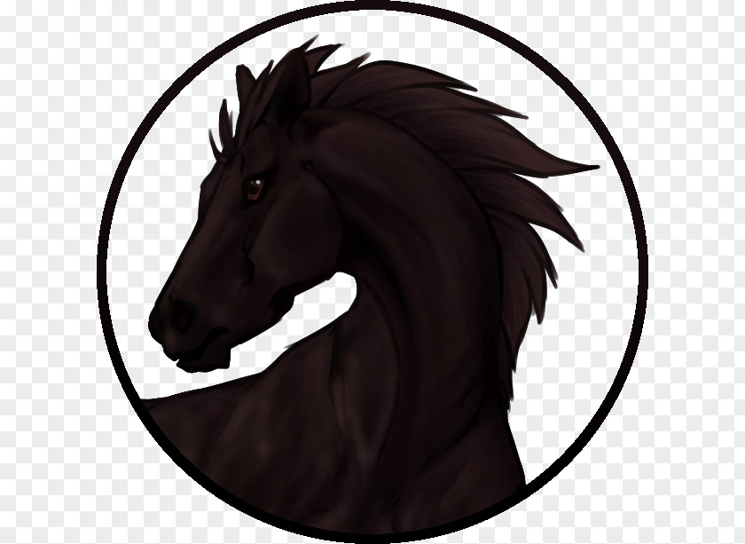 Horse Drawing Sungrace Pegasus Pony Mane PNG