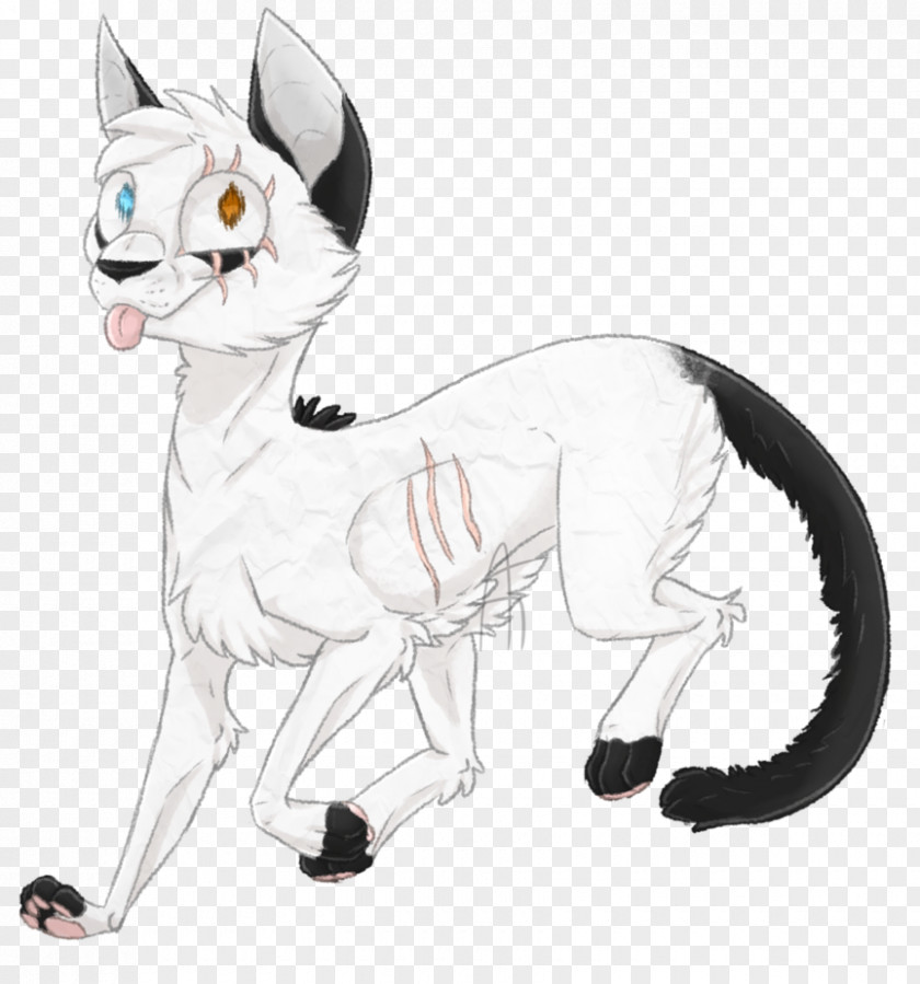 Kitten Whiskers Drawing Cat Horse PNG