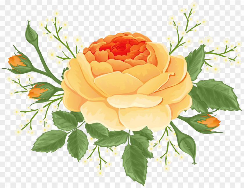 Orange Rose With White Flowers Clip Art Image PNG